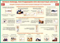  Таблица Общий порядок оказания первой помощи пострадавшим 1000*1400 винил	 - «globural.ru» - Ессентуки