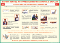 Таблица Порядок действий при переломах конечностей 1000*1400 винил - «globural.ru» - Ессентуки