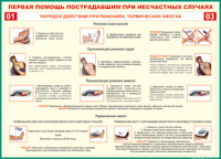 Таблица Порядок действий при ранениях и термических ожогах	 1000*1400 винил - «globural.ru» - Ессентуки