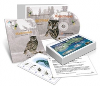 Комбинированное наглядное пособие «Животные» - «globural.ru» - Ессентуки