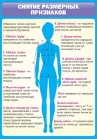 Стенд "Снятие мерок" (вариант 2) - «globural.ru» - Ессентуки