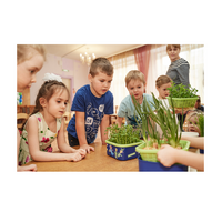 Обучающий комплект экологической направленности "Сити-фермер 2.0 Детский сад" 30 человек - «globural.ru» - Ессентуки