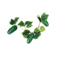 Муляж "Ветка огурцов" - «globural.ru» - Ессентуки