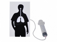 Демонстрационная модель "Эффект курения" - «globural.ru» - Ессентуки