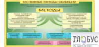 Стенд "Методы селекции и биотехнологии" - «globural.ru» - Ессентуки