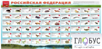Стенд "Красная книга РФ" - «globural.ru» - Ессентуки