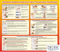 Стенд "Первая доврачебная неотложная помощь" - «globural.ru» - Ессентуки