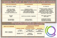 Стенд "Связь слов в словосочетании" - «globural.ru» - Ессентуки