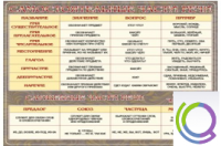 Стенд "Самостоятельные части речи" (вариант 2) - «globural.ru» - Ессентуки