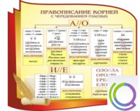 Стенд "Правописание корней с чередованием гласных" - «globural.ru» - Ессентуки