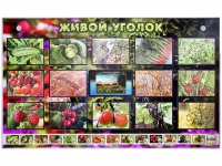 Комплект оборудования "Живой уголок" (растения) с тифлопереводом и сурдокомментариями - «globural.ru» - Ессентуки