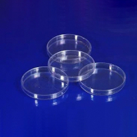 Чашка Петри 60 мл. ПП - «globural.ru» - Ессентуки
