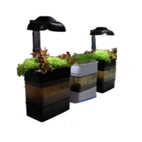 Учебная установка "Аквапоника"  - «globural.ru» - Ессентуки