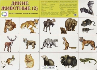 Раздаточные карточки "Дикие животные" часть 2 - «globural.ru» - Ессентуки