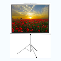 Экран на штативе DSKD-4303 - «globural.ru» - Ессентуки
