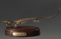 Модель скелета мозазавра Mosasaurus - «globural.ru» - Ессентуки
