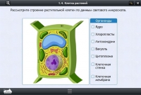 Интерактивные курсы. Биология 9 класс. Базовый - «globural.ru» - Ессентуки