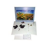 Гербарий Сельскохозяйственные растения (28 видов) - «globural.ru» - Ессентуки