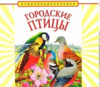 CD "Аудиоэнциклопедия. Городские птицы" - «globural.ru» - Ессентуки