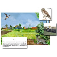 Магнитный плакат-аппликация "Поле: биоразнообразие и взаимосвязи в сообществе" - «globural.ru» - Ессентуки