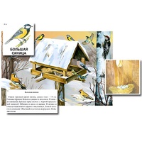 Магнитный плакат-аппликация "Биоразнообразие и экологические группы. Птицы зимой" - «globural.ru» - Ессентуки