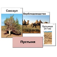 Модель-аппликация "Природные зоны России" - «globural.ru» - Ессентуки
