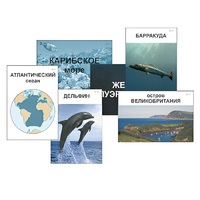 Модель-аппликация "Океаны. Знакомство" (ламинированная) - «globural.ru» - Ессентуки
