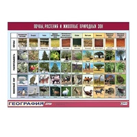 Таблица демонстрационная "Почвы, растения и животные природных зон" (винил 70x100) - «globural.ru» - Ессентуки