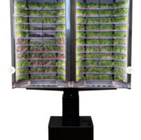 Вертикальная  ферма «Моя микрозелень» комплектация  «Театро настенная» - «globural.ru» - Ессентуки