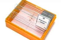 Набор микропрепаратов N10 - «globural.ru» - Ессентуки