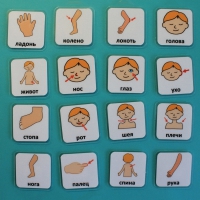 Набор карточек "Части тела" - «globural.ru» - Ессентуки