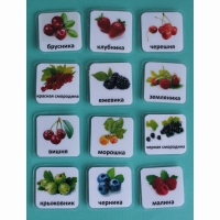 Набор карточек "Ягоды" - «globural.ru» - Ессентуки