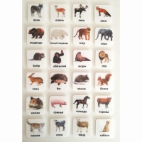 Набор карточек "ЖИВОТНЫЕ" - «globural.ru» - Ессентуки