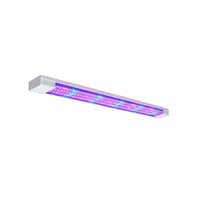 Фитолампа - «globural.ru» - Ессентуки