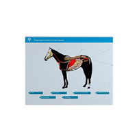 Стенд-планшет светодинамический "Изучение пищеварительной системы сельскохозяйственных животных" со сменными панелями - «globural.ru» - Ессентуки