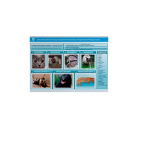 Стенд-планшет светодинамический «Острые отравления животных лекарственными препаратами» - «globural.ru» - Ессентуки