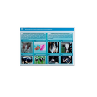 Стенд-планшет светодинамический «Изучение асептических и гнойных воспалительных процессов» - «globural.ru» - Ессентуки