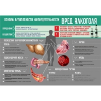 Стенд "Алкоголь" - «globural.ru» - Ессентуки