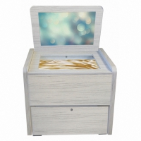 Сундучок психолога-дефектолога "Антошка" - «globural.ru» - Ессентуки