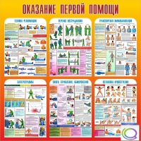 Стенд "Оказание первой помощи" - «globural.ru» - Ессентуки
