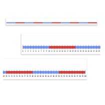 Нумирошка. Числовая прямая 0-100 по методике Нумикон - «globural.ru» - Ессентуки