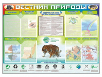 Стенд-уголок "Вестник природы" (вариант 1) - «globural.ru» - Ессентуки