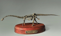 Модель скелета динозавра Diplodocus  (вариант 2) - «globural.ru» - Ессентуки