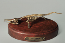 Модель скелета ихтиозавра Ichthyosaurus - «globural.ru» - Ессентуки