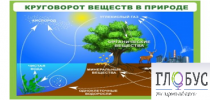 Стенд "Круговорот веществ" - «globural.ru» - Ессентуки