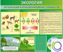 Стенд "Экология. Организация и функционирование сообществ" - «globural.ru» - Ессентуки