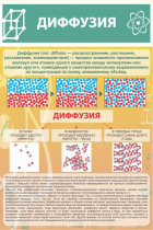 Стенд "Диффузия" - «globural.ru» - Ессентуки