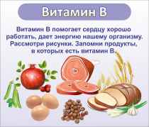 Стенд "Витамин В" - «globural.ru» - Ессентуки