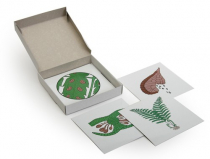 Модель-аппликация Размножение папоротника (набор из 8 карт) - «globural.ru» - Ессентуки