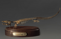 Модель скелета мозазавра Mosasaurus - «globural.ru» - Ессентуки